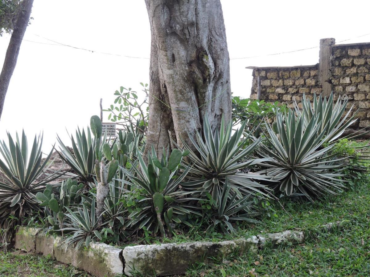 Diani Beachalets Εξωτερικό φωτογραφία